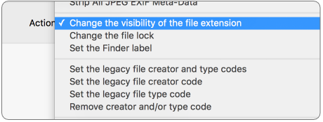 Action menu with file flag options such as extension visibility, file lock and Finder label