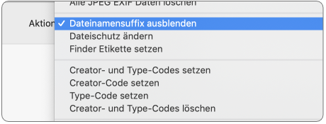 Aktionsmenü mit Dateiattributen wie Sichtbarkeit der Endung, Schreibschutz und Finder-Etikett