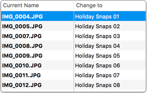 Preview table showing IMG files renamed to Holiday Snaps 01 to 08