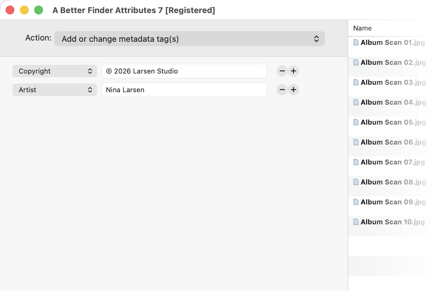 Add or change metadata tags: Copyright set to 2026 Larsen Studio and Artist set to Nina Larsen on ten album scans